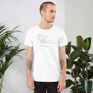 Head Scrathing Questions - White Software Developer T-Shirt