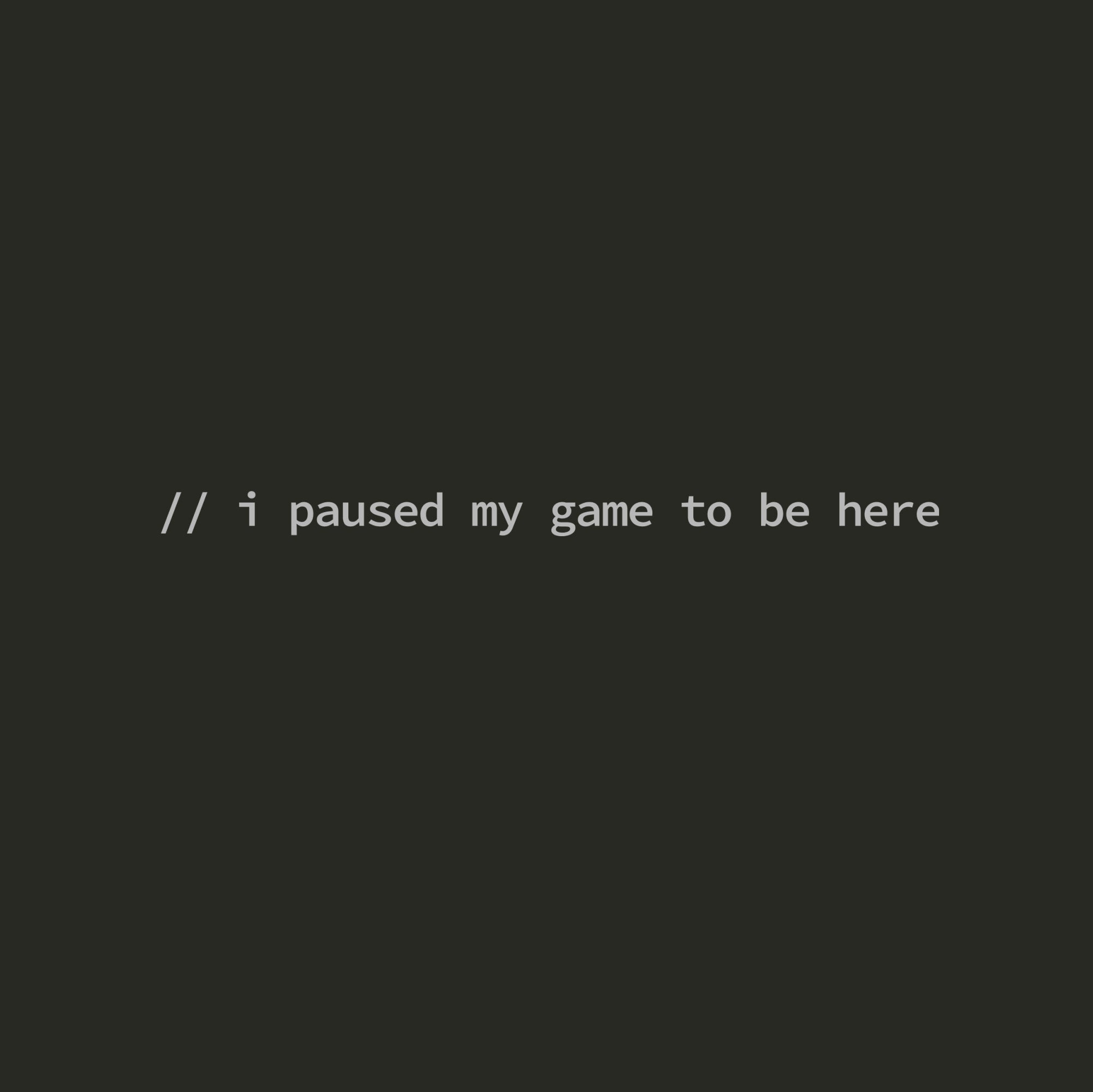 I Paused My Game To Be Here - Software Developer T-Shirt